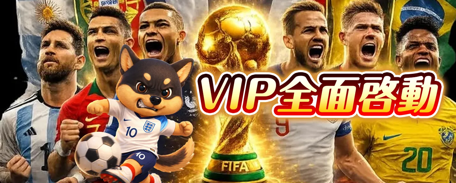 VIP全面啟動